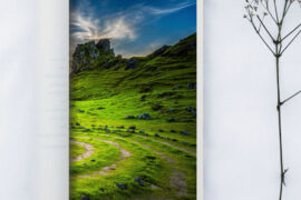 Rolled Canvas Printing