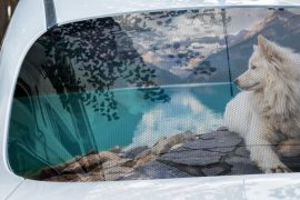 Perforated Window Vinyl Printing