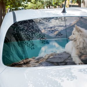 Perforated Window Vinyl Printing